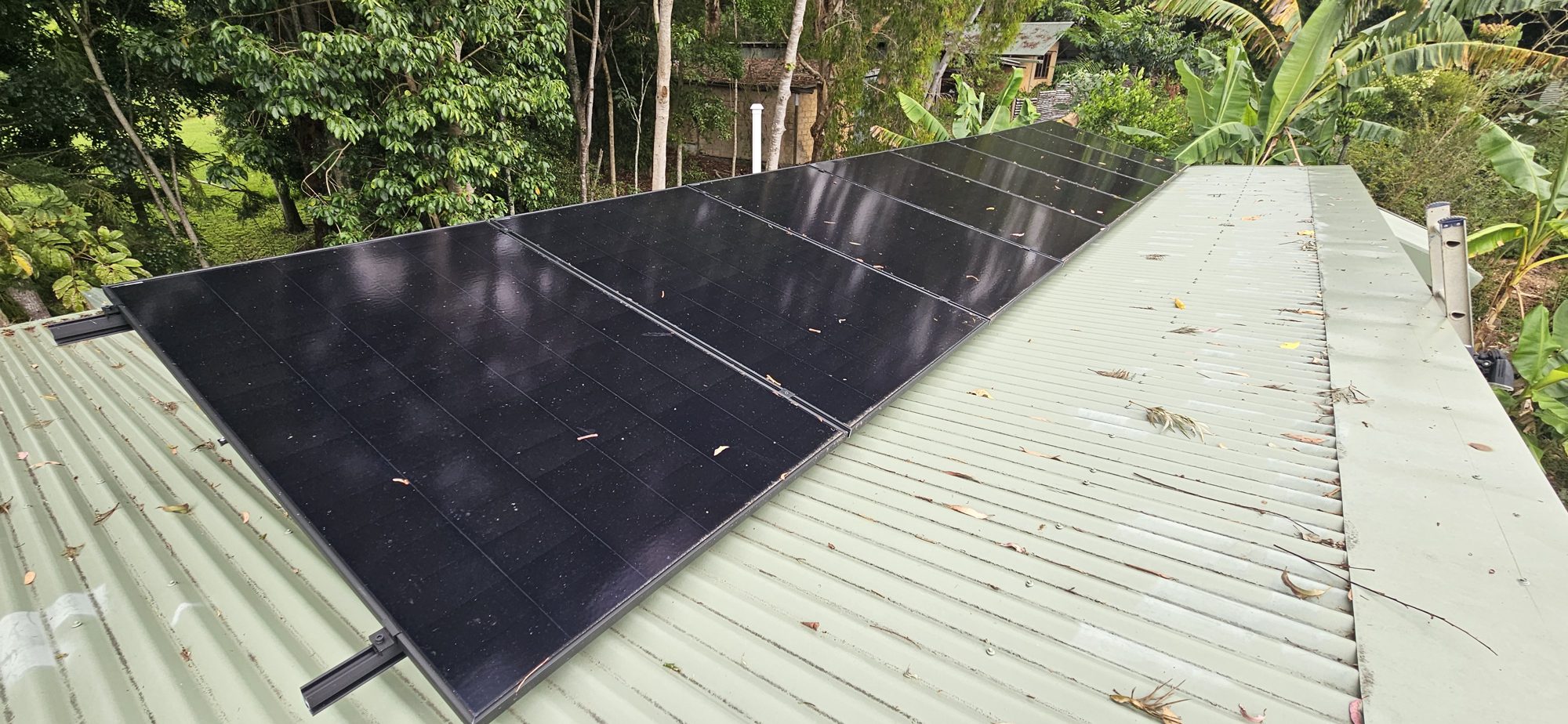 A long row of AIKO solar panels on a metal roof among rainforest in the Mullumbimby hinterland, a large home solar install by Sun Connect Solar in the Northern Rivers NSW