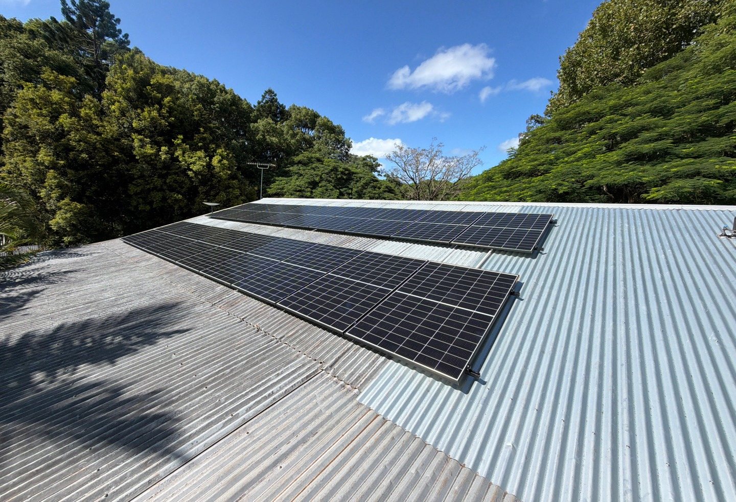 Trina solar panels in two rows on a galvanised corrugated roof among trees in the Alstonville area, installed by Sun Connect Solar