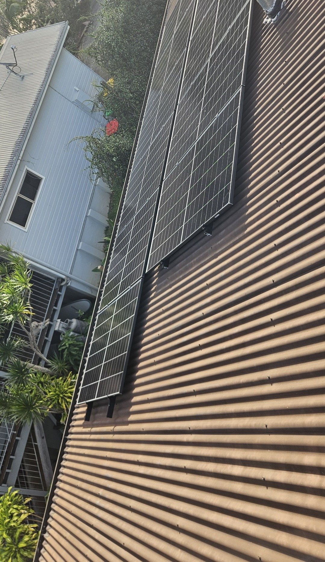 Rows of AIKO solar panels along a corrugated roof above a garden in Bangalow, installed by Sun Connect Solar