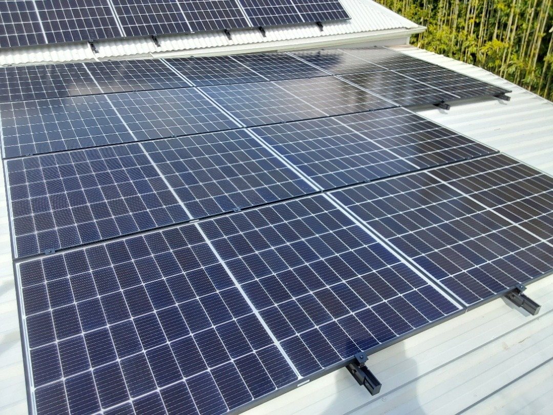 Seraphim solar panels in rows on a white metal roof beside bamboo in Bangalow, installed by Sun Connect Solar