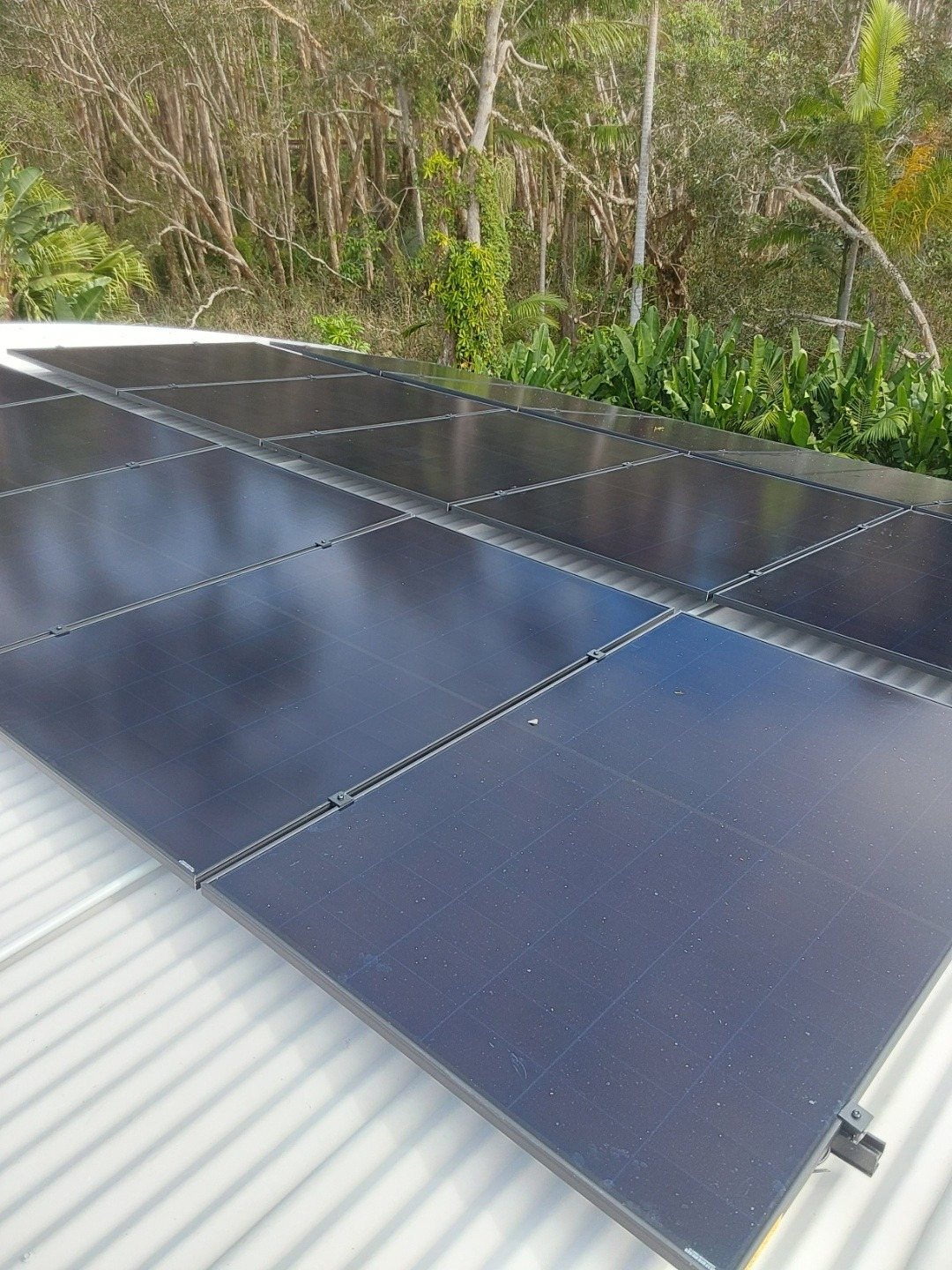 All-black AIKO solar panels in rows on a metal roof with rainforest and palms behind in Byron Bay All-black AIKO solar panels in rows on a metal roof with rainforest and palms behind in Byron Bay, part of a 6.825 kW solar and Sigenergy battery install by Sun Connect Solar