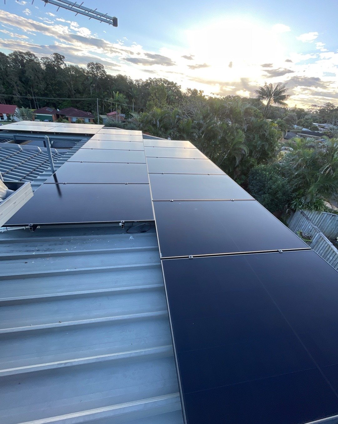 All-black AIKO solar panels on a metal roof section of an East Ballina home with trees and the evening sun behind All-black AIKO solar panels on a metal roof section of an East Ballina home with trees and the evening sun behind, part of a 14.72 kW install by Sun Connect Solar