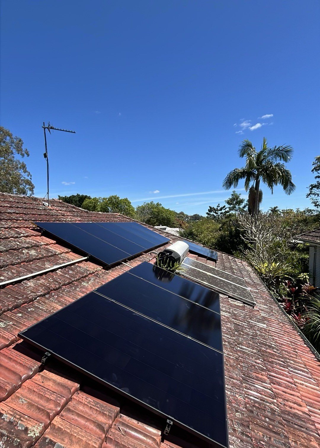 AIKO solar panels on a terracotta tile roof with palms in East Lismore AIKO solar panels on a terracotta tile roof with palms in East Lismore, part of a 6.79 kW solar and Sigenergy battery install by Sun Connect Solar