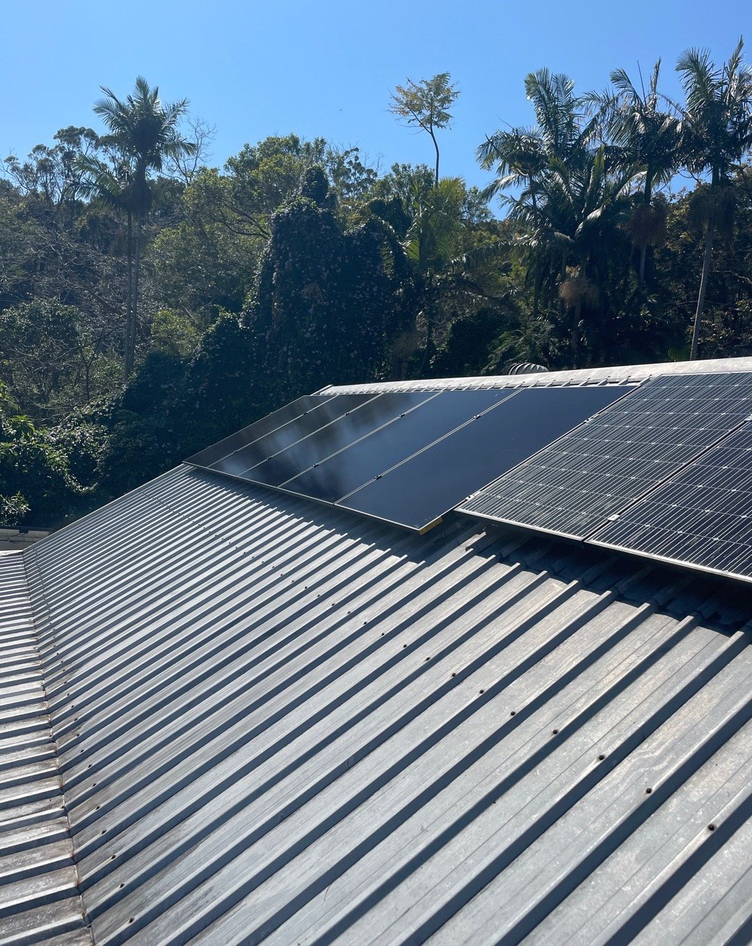 New all-black AIKO solar panels beside an older array on a dark metal roof among palms at Main Arm New all-black AIKO solar panels beside an older array on a dark metal roof among palms at Main Arm, installed by Sun Connect Solar