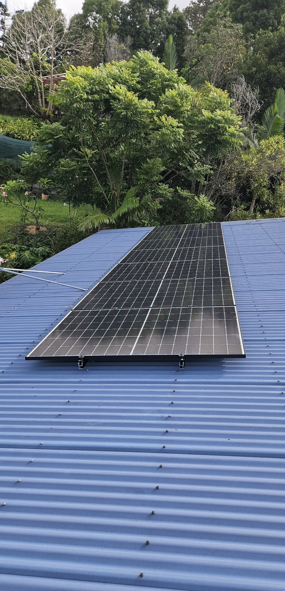 A block of Jinko solar panels on a blue corrugated roof among the gardens at Main Arm A block of Jinko solar panels on a blue corrugated roof among the gardens at Main Arm, part of a solar and 8 kWh Sigenergy battery install by Sun Connect Solar