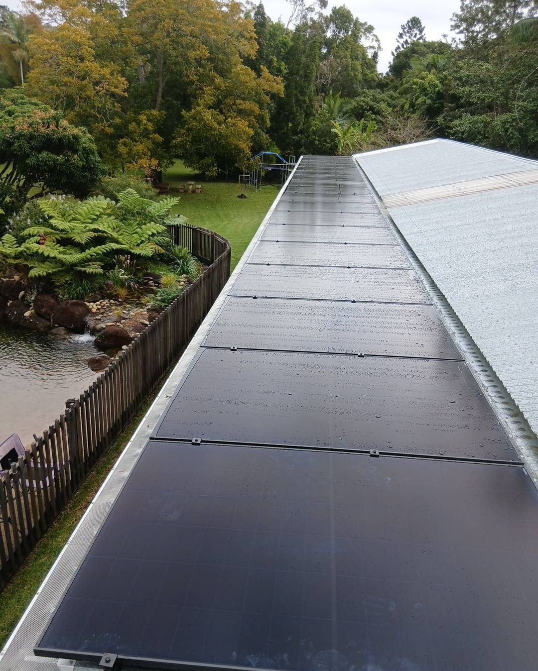 A long run of all-black AIKO solar panels along a narrow metal roof above a rainforest garden and pond in Mullumbimby A long run of all-black AIKO solar panels along a narrow metal roof above a rainforest garden and pond in Mullumbimby, installed by Sun Connect Solar