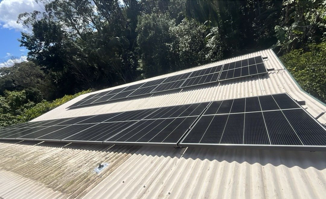 Two rows of Jinko Tiger Neo III solar panels on a pale corrugated roof with rainforest behind at Nimbin Two rows of Jinko Tiger Neo III solar panels on a pale corrugated roof with rainforest behind at Nimbin, part of an 8.55 kW install by Sun Connect Solar