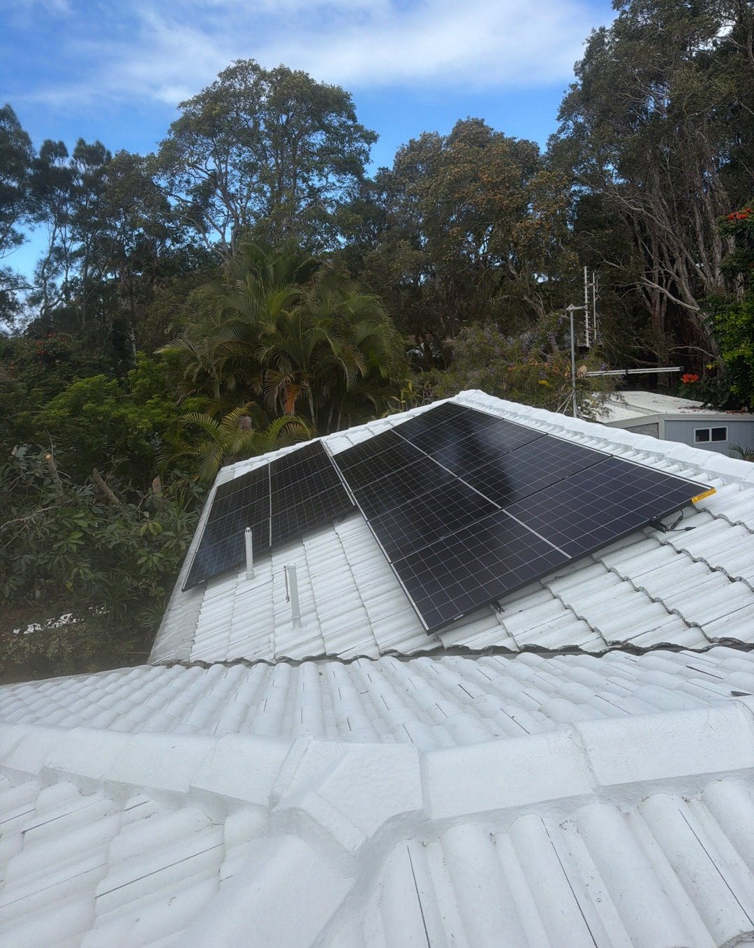 LONGi solar panels on a white tile roof among tall trees in Ocean Shores LONGi solar panels on a white tile roof among tall trees in Ocean Shores, part of a SolaX battery install by Sun Connect Solar