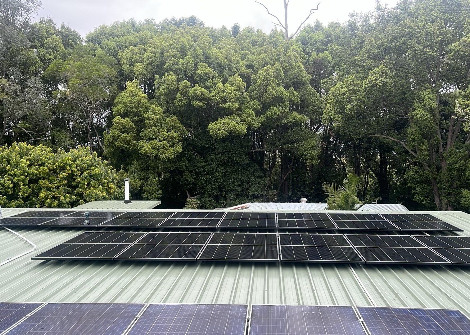 New Jinko solar panels on a green Colorbond roof with rainforest behind in Tyalgum New Jinko solar panels on a green Colorbond roof with rainforest behind in Tyalgum, Tweed Valley, installed by Sun Connect Solar